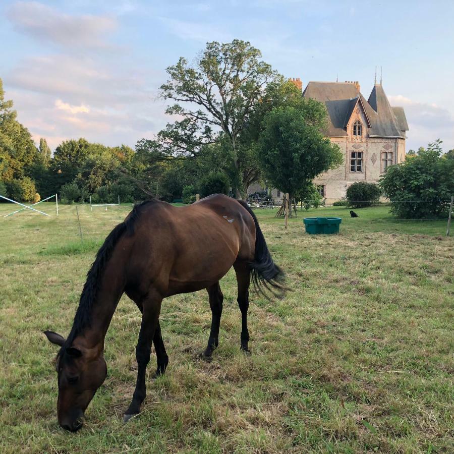 Villa Manoir De La Chouanniere Montreuil-sur-Maine Esterno foto